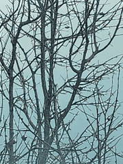 비밀번호를 재입력하시오