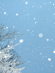 아직 추운 겨울이었다.