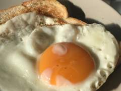 [우성명헌] 계란 후라이