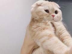 빛나는 못말려 TALK 2