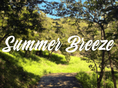summer breeze - 上