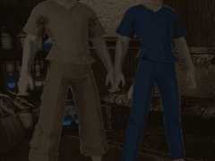 진실과 고문의 방