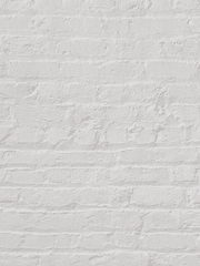 지상고 나폴리탄