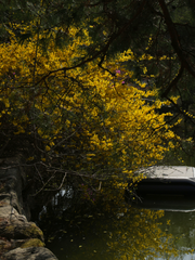 지극히 특별하고 특별하지 않은 나의 이야기
