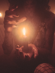 서큐버스와 늑대의 혐오 관계 : 이레시아