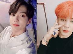 고양이와 강아지 썰