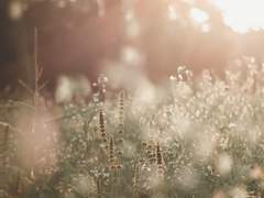 [대만준호] 너라는 이름의 꽃