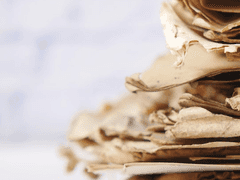 <윌리엄과 윌리엄의 윌리엄들> 2회차