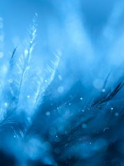  손을 뻗어도 닿지 못하는 것은