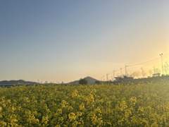 보고싶은 사람에게