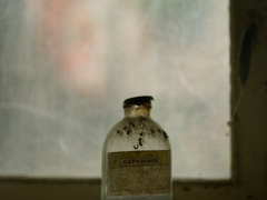 <군림과 복종 그리고 자유> 출간 안내