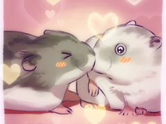 키미노토리코니햄