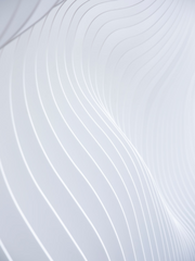 상태이상 : ...가 아니면 죽음을!