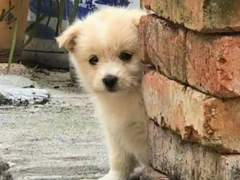 오랜만입니당| ू´ᆺ`●)