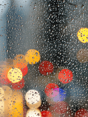 미제 - 여름청게