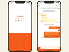 355. Spring 06 (Flamingo)