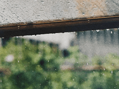 [우성명헌] 고작 우산 하나