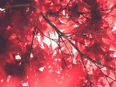 사랑에서 가장 중요한 것