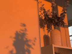 블라디미르에게