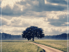 아무튼 내 맘대로 생각하는 판타지