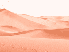 인간은 어차피 혼자다[울프우드]