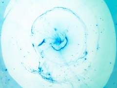 (화란은영) 블루 레몬에이드