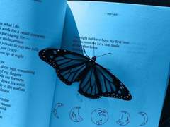 시간 소거, 遺 燦