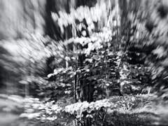 [종상|뱅상|준상] 어둠이 걷히고 (3)