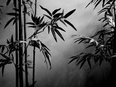 [화산귀환/도위소병] 바람은 소리 없이 불고