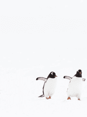 사라진 존잘을 그리워하는 백업