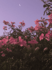 今私があなたの救いになる順番です