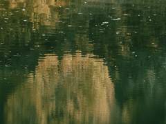 기대하지 않은 소식