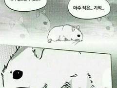 내가 일으킬 수 있는 아주 작은 기적