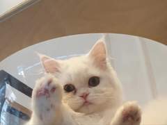 빛나는 못말려 TALK 4