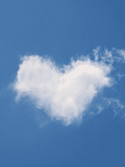 너흰 사랑이 뭐라고 생각하냐