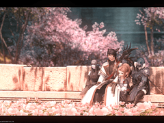 6.25 실디하 스샷