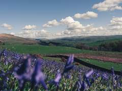 동부저지의 기억 하나