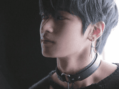 REVEAL : 드러내다 prologue