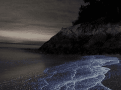 슬덩온 이벤트 글 : 연반 태대 부탁드립니다 ㅜ^ㅜ