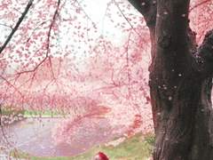 강백호 桜木花道 0401