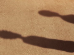 [카게히나] 환승연애 썰