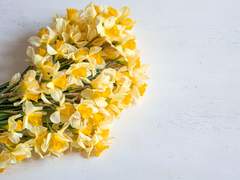 러브 미 텐더 / 수선화의 요람