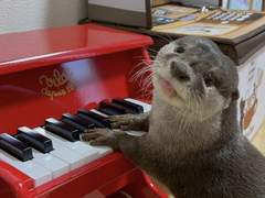 하나만 변하는 건 없는 것 같다는 말은 결국 돈 쓸 일이 늘어난다는 거겠지