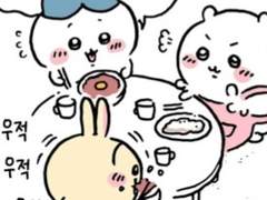 토벌 성공 축하