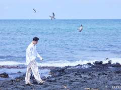 海水搖籃 中 (해수요람)