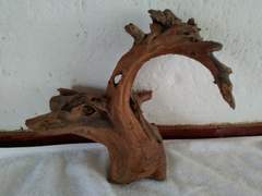 나이테/클라라장