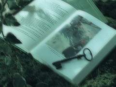 동화 실현 가능한 희망의 나.