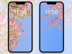 [배경화면] spring_set05