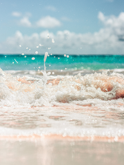 메가 베스트 프렌드!!