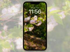 [무료배경화면]spring_01